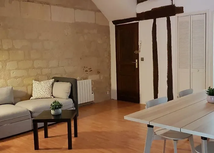 Quartier Historique Proche Des Halles Apartment Tours